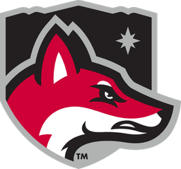 North Greenville University banner logo