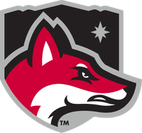 North Greenville University banner logo