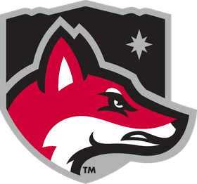 North Greenville University banner logo